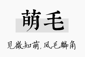 萌毛名字的寓意及含义