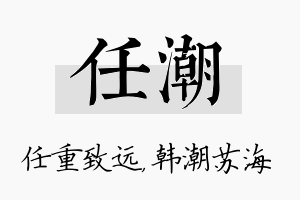 任潮名字的寓意及含义