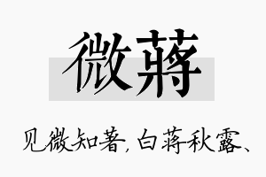 微蒋名字的寓意及含义