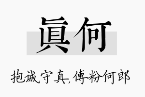 真何名字的寓意及含义