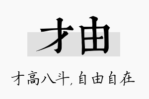 才由名字的寓意及含义