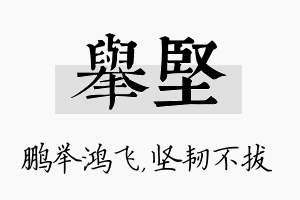 举坚名字的寓意及含义