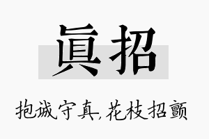 真招名字的寓意及含义