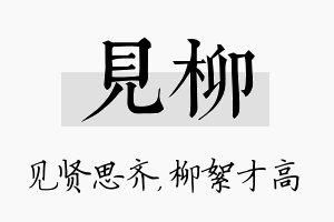 见柳名字的寓意及含义