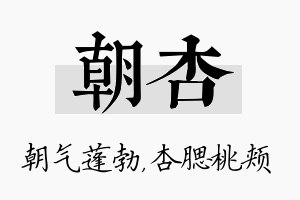 朝杏名字的寓意及含义