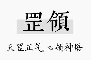 罡领名字的寓意及含义