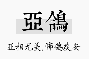 亚鸽名字的寓意及含义