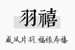 羽禧名字的寓意及含义