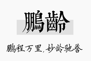 鹏龄名字的寓意及含义