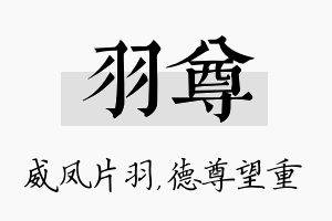 羽尊名字的寓意及含义