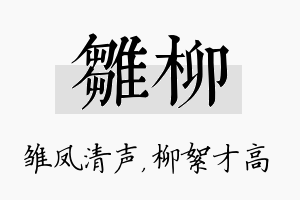 雏柳名字的寓意及含义