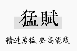 猛赋名字的寓意及含义