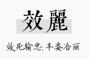 效丽名字的寓意及含义