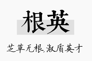 根英名字的寓意及含义