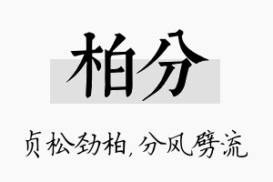 柏分名字的寓意及含义