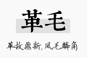 革毛名字的寓意及含义