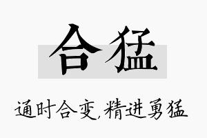 合猛名字的寓意及含义