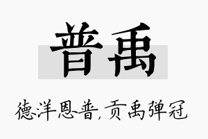 普禹名字的寓意及含义