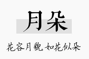 月朵名字的寓意及含义