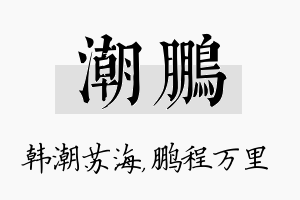 潮鹏名字的寓意及含义