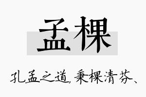 孟棵名字的寓意及含义