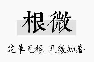 根微名字的寓意及含义