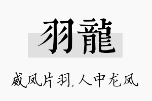 羽龙名字的寓意及含义