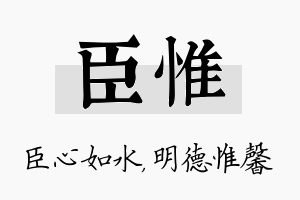 臣惟名字的寓意及含义