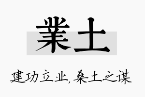 业土名字的寓意及含义