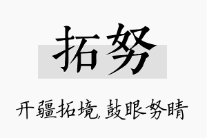 拓努名字的寓意及含义