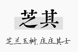 芝其名字的寓意及含义