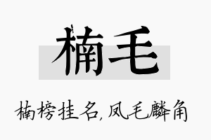 楠毛名字的寓意及含义