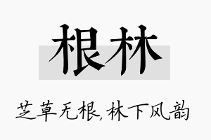 根林名字的寓意及含义