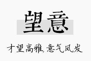 望意名字的寓意及含义