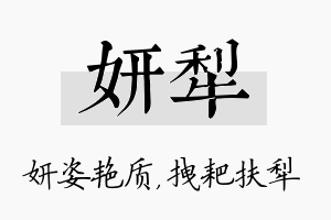 妍犁名字的寓意及含义