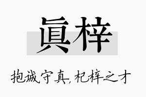 真梓名字的寓意及含义