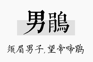 男鹃名字的寓意及含义