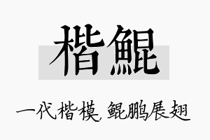 楷鲲名字的寓意及含义