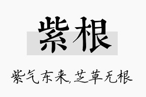 紫根名字的寓意及含义