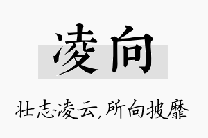 凌向名字的寓意及含义