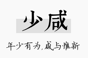 少咸名字的寓意及含义