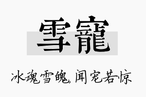 雪宠名字的寓意及含义