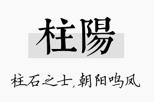 柱阳名字的寓意及含义