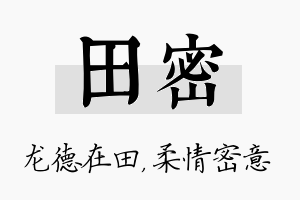 田密名字的寓意及含义