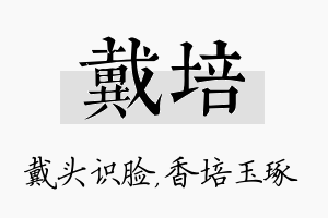 戴培名字的寓意及含义