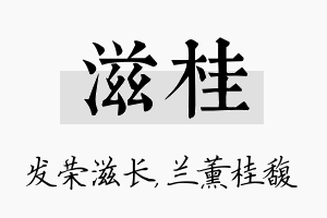 滋桂名字的寓意及含义