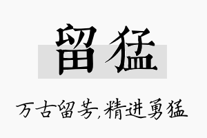 留猛名字的寓意及含义