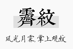 霁纹名字的寓意及含义