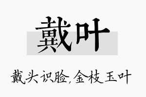 戴叶名字的寓意及含义