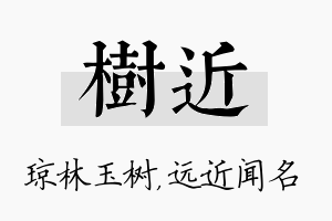 树近名字的寓意及含义